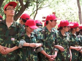 飛龍團隊協作展示