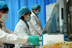 張掖市中心血站 張掖市中心血站