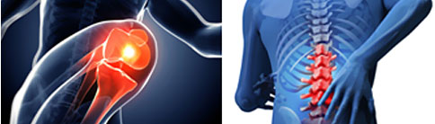 飛龍醫療 飛龍醫療