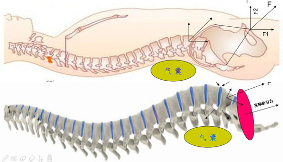 飛龍醫療 飛龍醫療