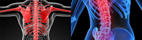 智能康復系統6大優勢 智能康復系統6大優勢