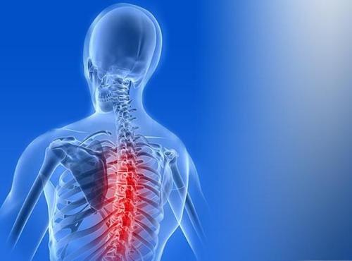 脊椎神經 脊椎神經