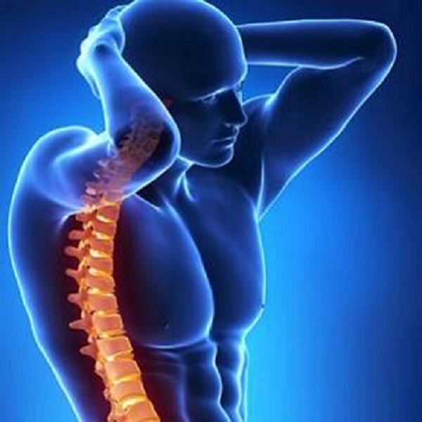 脊柱健康 脊柱健康