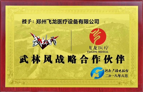 飛龍醫療外星艙走進武林風 飛龍醫療外星艙走進武林風