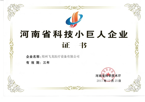 飛龍醫療榮獲河南科技小巨人企業證書