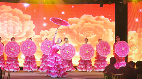 2019飛龍醫療春節聯歡會 2019飛龍醫療春節聯歡會