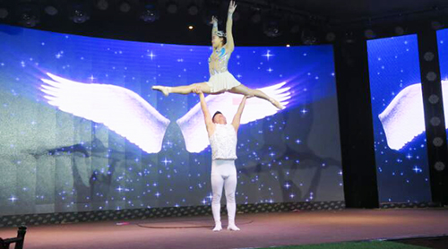 2019飛龍醫療春節聯歡會 2019飛龍醫療春節聯歡會