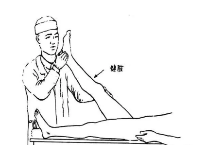 腰椎間盤突出 腰椎間盤突出