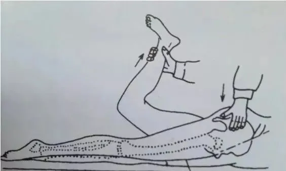 股神經牽拉試驗 股神經牽拉試驗