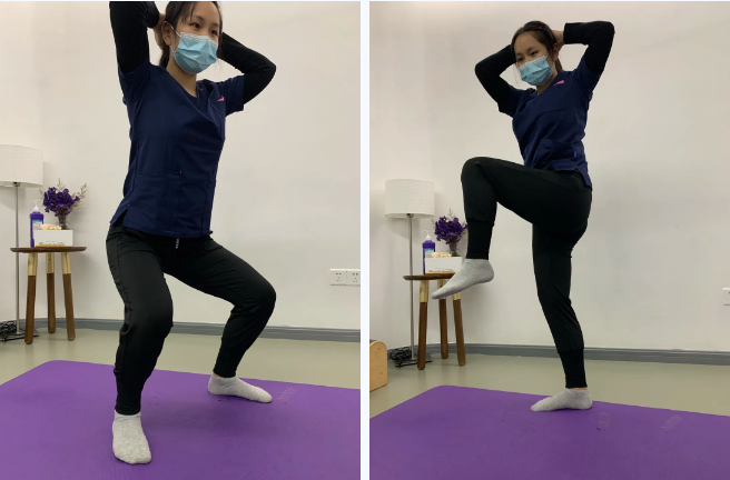 臀肌功能性訓練 臀肌功能性訓練