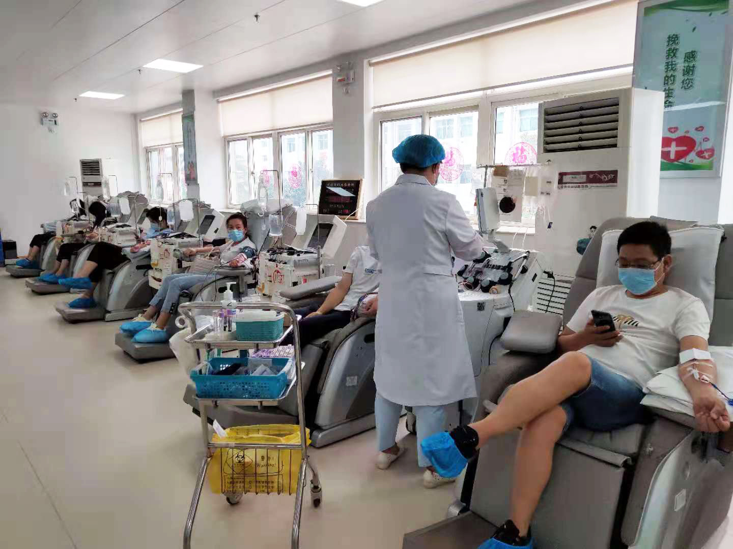 單采成分血、機采血小板獻血中 單采成分血、機采血小板獻血中