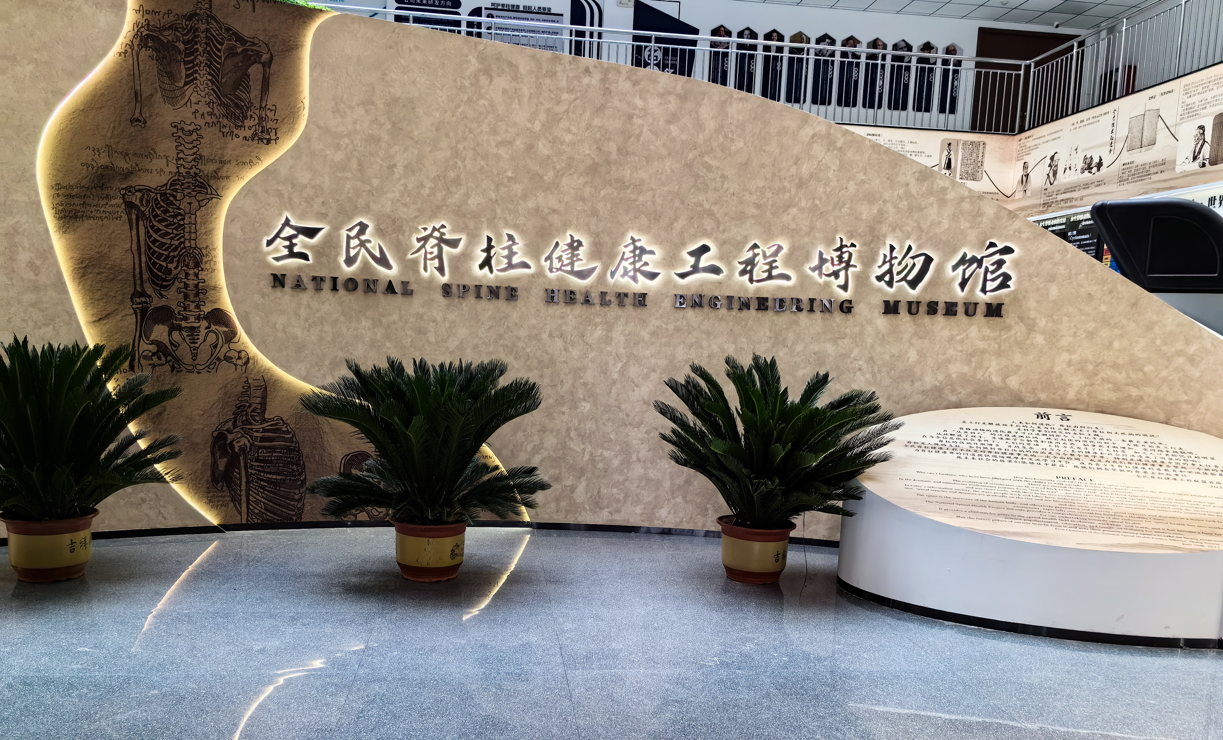 飛龍醫療全民脊柱博物館 飛龍醫療全民脊柱博物館