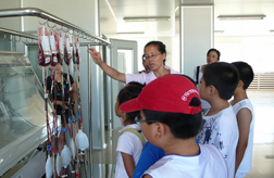 【低溫操作臺】盤錦市中心血站