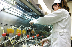 【低溫操作臺】洛陽市中心血站